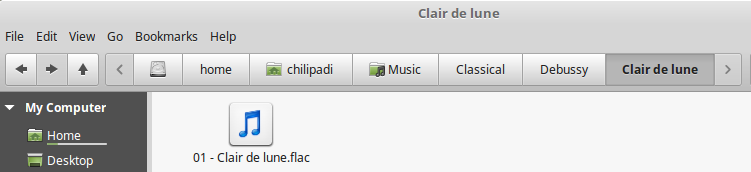 Ripped .flac file in Music folder